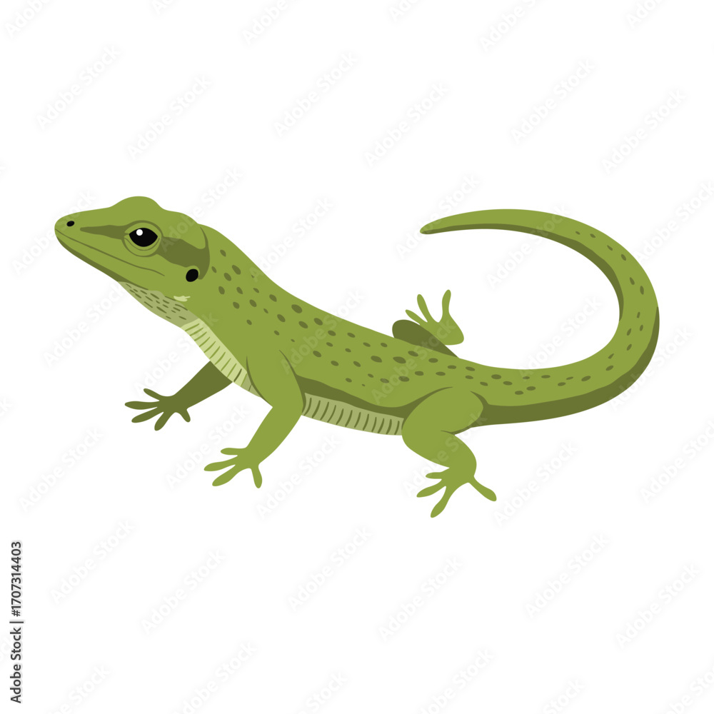 Obraz premium Green lizard illustration – flat illustration