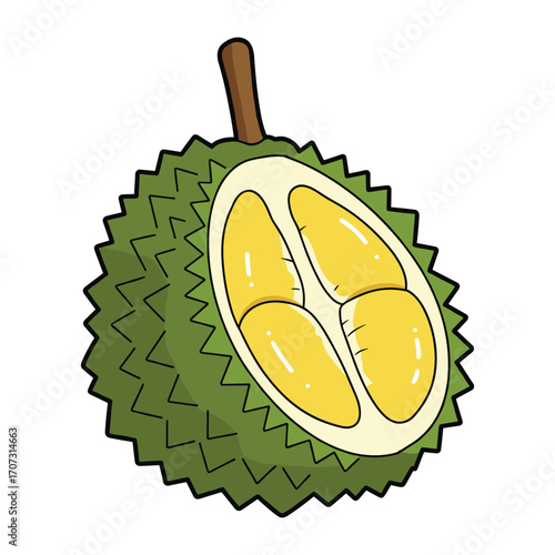 Cartoon illustration of durian fruit with spiky green shell and yellow flesh – flat illustration