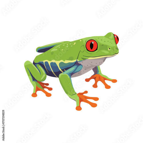 Colorful red-eyed tree frog on white background: nature, wildlife, amphibian, illustration – flat illustration
