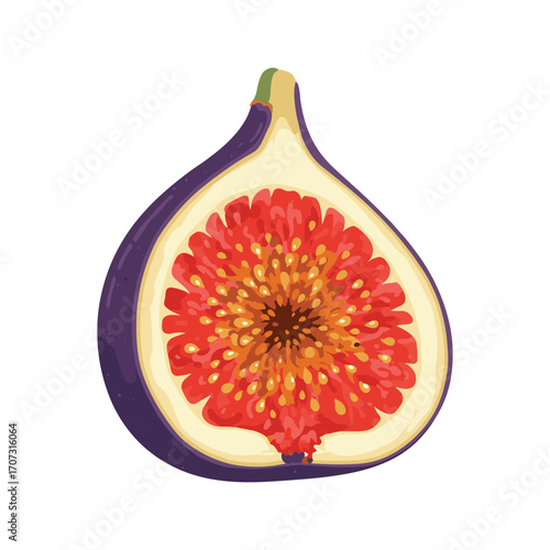 Illustrated half fig with vibrant colors and detailed texture – flat illustration