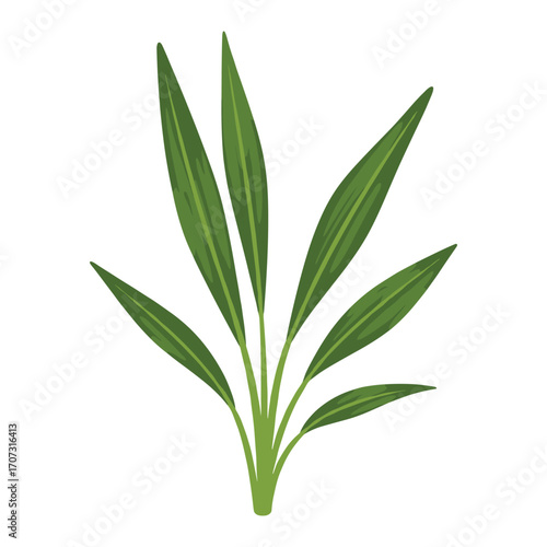 Simple green plant with long leaves – flat illustration