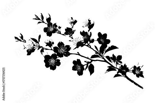 Black And White Silhouette Of A Blooming Branch on a Transparent Background
