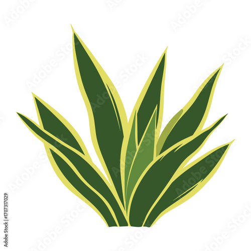 Variegated snake plant with green and yellow leaves – flat illustration