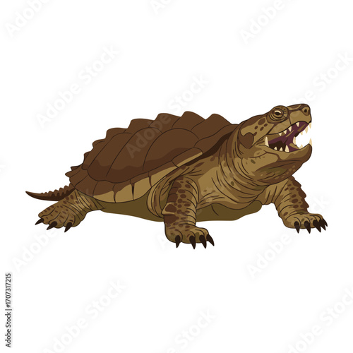 Snapping turtle illustration with open mouth and detailed shell – flat illustration