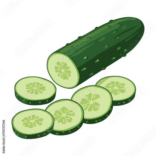 Fresh cucumber with sliced rounds – flat illustration