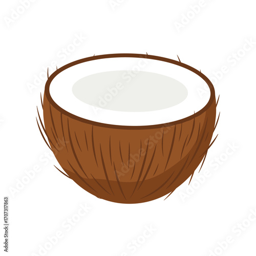 Illustration of a half coconut with brown shell and white flesh – flat illustration