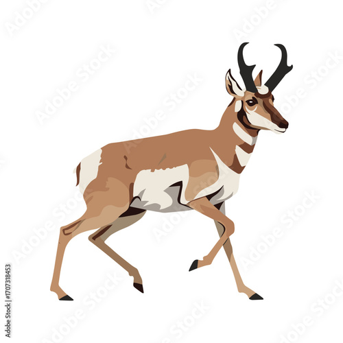 Prancing pronghorn antelope graphic – flat illustration