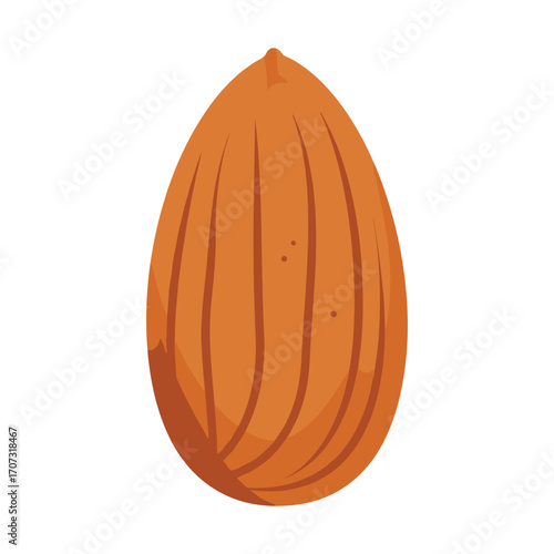 Realistic isolated almond seed on white background with detailed texture – flat illustration