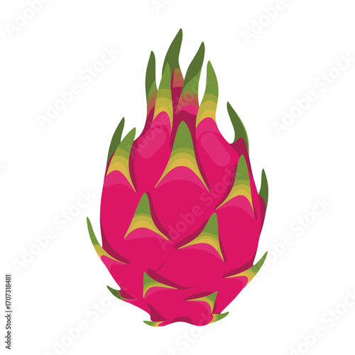 Vibrant pink dragon fruit on white background with green accents – flat illustration
