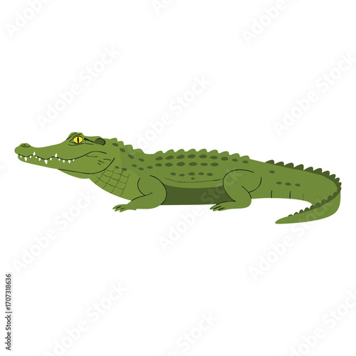 Green crocodile illustration with yellow eyes – flat illustration