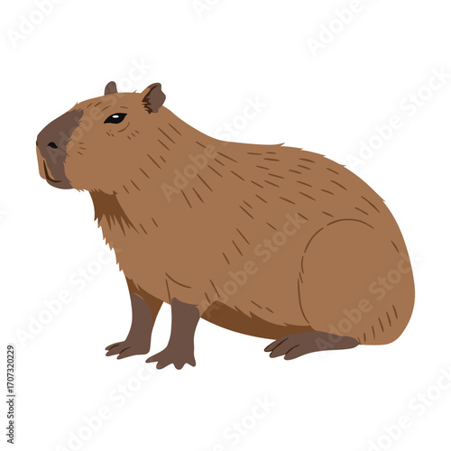 Illustration of a capybara: detailed side view of the world's largest rodent – flat illustration