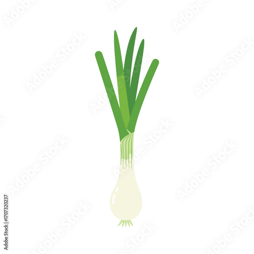 Fresh green spring onion illustration with lush leaves – flat illustration