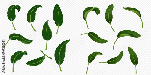 A collection of vibrant green tropical leaves, possibly banana leaves, depicted in various natural positions on a transparent background.