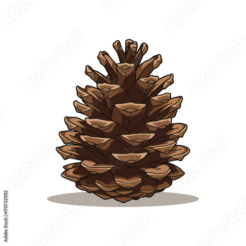 Realistic pine cone illustration – flat illustration