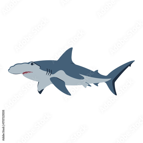 Hammerhead shark illustration – flat illustration