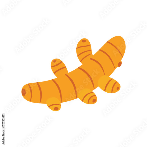 Illustrated turmeric root in flat style with – flat illustration