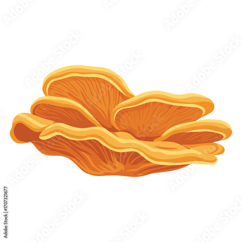 Orange fungus illustration of vibrant lentinus mushrooms – flat illustration
