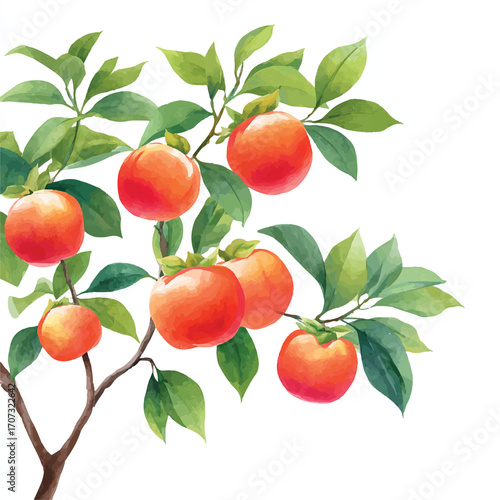 Vibrant Persimmon Tree Branch with Ripe Orange Fruits and Green Leaves.