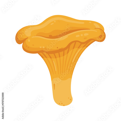 Illustration of a bright yellow chanterelle mushroom – flat illustration