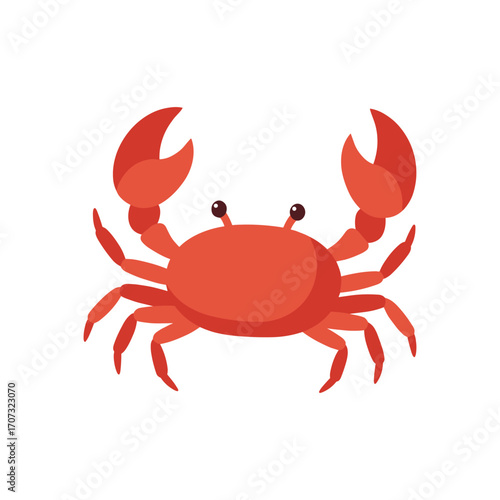 Red cartoon crab illustration – flat illustration