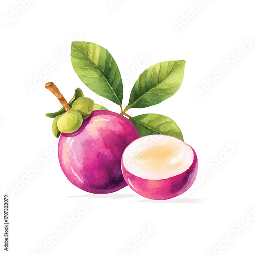 Vibrant Watercolor Illustration of Fresh Mangosteen Fruit with Green Leaves.
