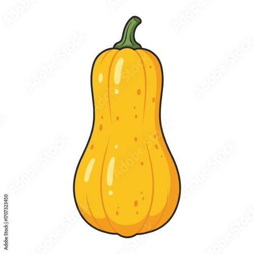 Yellow butternut squash illustration with green stem – flat illustration
