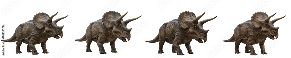 Fototapeta premium Triceratops Dinosaur Prehistoric Animal Isolated Transparent Background