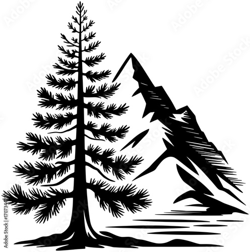 Mountain Pine Vector SVG Printable