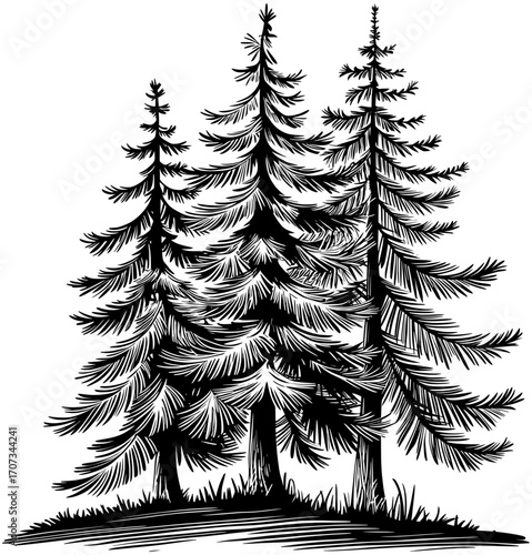 Three Pine Nature SVG Illustration