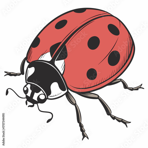 A Detailed Illustration of a Red Ladybug with Black Spots on a White Background, Perfect for Nature and Insect Themes