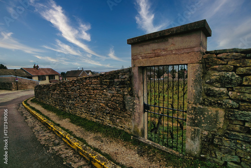 Fototapeta Naklejka Na Ścianę i Meble -  Town of Fixin in Burgundy, France