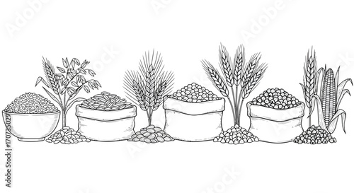 Abundant harvest of diverse grains and corn displayed in sacks and bowls ready for use