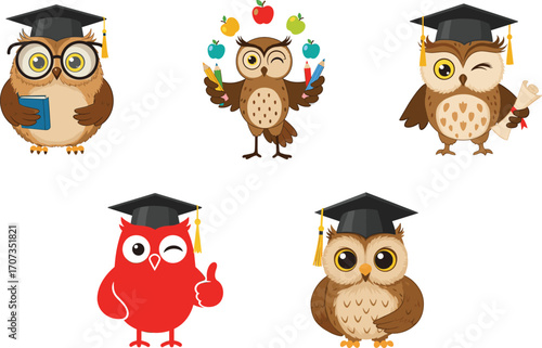 Cute cartoon graduation owls in caps holding books diplomas and apples, educational vector illustration for school, learning, wisdom and academic celebration design