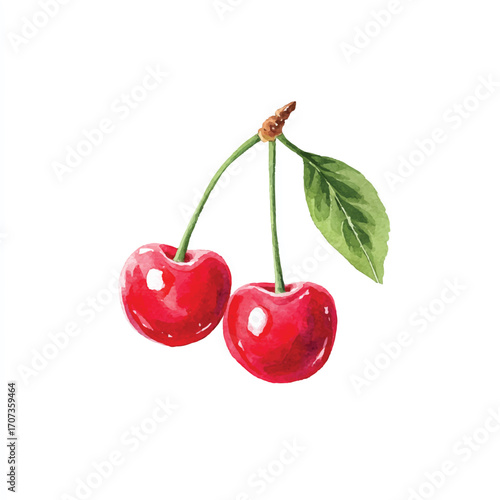 Two ripe red cherries with a green leaf on a white background.