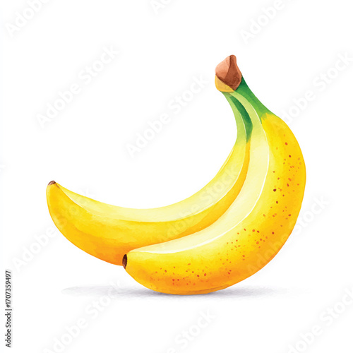 Two Ripe Yellow Bananas Close Up.