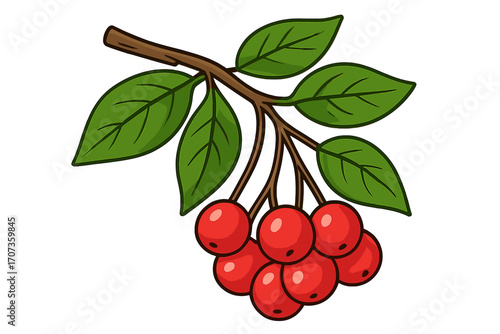 Red berries on a branch with green leaves. Vector cartoon illustration. Botanical concept. Cranberry, rowan, holly berry. Isolated natural food icon for autumn decoration.