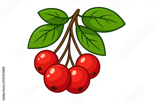 Red berry branch with green leaves vector illustration. Cartoon fresh ripe berries cluster isolated. Organic healthy food concept for juice or jam. Sweet natural fruit.