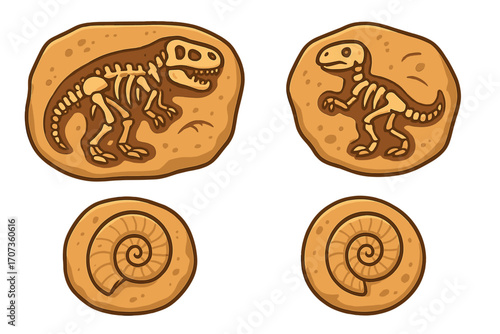 Dinosaur fossils and ammonite vector set. Cartoon paleontology illustration with T-Rex skeleton. Prehistoric animal bones. Archaeology, excavation, science, jurassic icon.