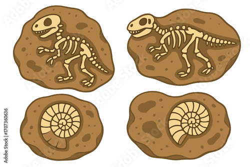 Dinosaur fossil T-rex skeleton & ammonite shell vector icon set. Paleontology discovery. Archeology excavation. Prehistoric jurassic animal bones & ancient mollusc cartoon.