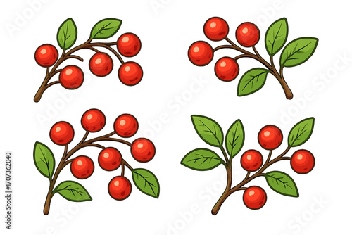Red berry branch vector set. Cartoon illustration of cranberries or holly with green leaves. Natural fruit collection for autumn, winter, or Christmas holiday decoration design.
