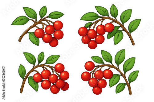 Set of red berry branches with green leaves. Vector cartoon illustration of natural fruit. Isolated botanical plant collection for organic food or floral design concepts.