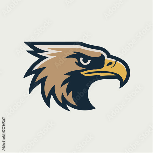 eagle head vector illustration