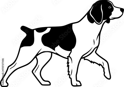 Brittany spaniel silhouette, Brittany dog clipart, Brittany dog svg, Dog silhouettes, Brittany dog icon.