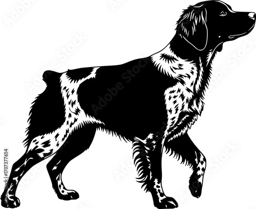 Brittany spaniel silhouette, Brittany dog clipart, Brittany dog svg, Dog silhouettes, Brittany dog icon.