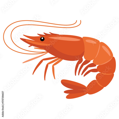 cooked shrimp on white background