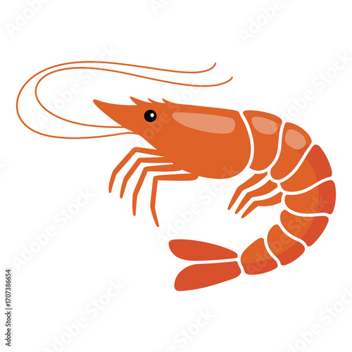 shrimp vector illustration