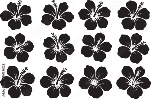 Hibiscus Silhouette Collection: A set of elegant hibiscus flowers in a striking black silhouette, showcasing the delicate beauty of these tropical blooms in a simple yet effective manner.