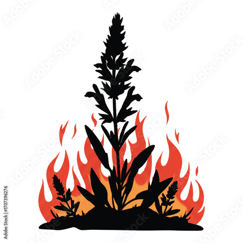 Fire in the forest