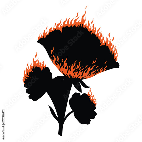 Orange flower on black background