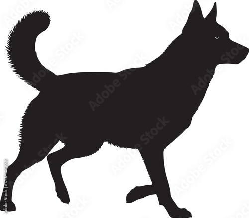 Silhouette of a german shepherd dog in profile walking with tail high and alert ears